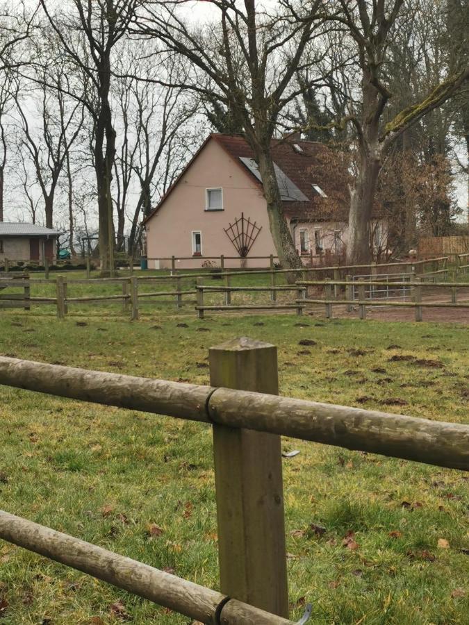 Ferienwohnung Am Stadtrand Garz Ruegen מראה חיצוני תמונה